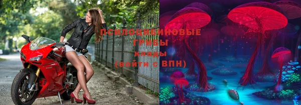 прущий лед Верея