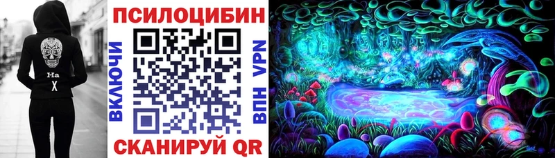 Псилоцибиновые грибы Magic Shrooms  Купить закладки  Ивангород 